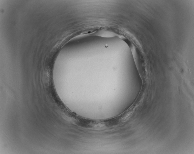 X0000069390113200606021641