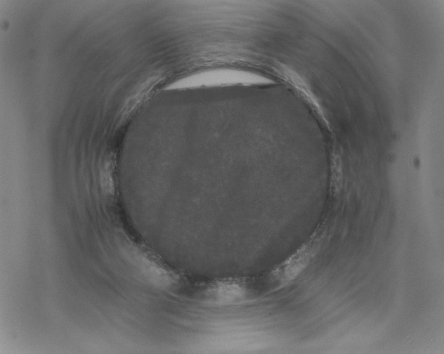 X0000069390114200606021641