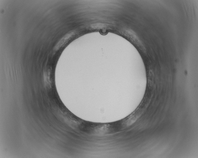 X0000069390116200606021641