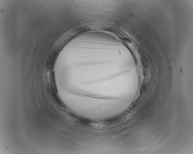 X0000069390117200606021641