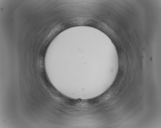 X0000069390119200606021641