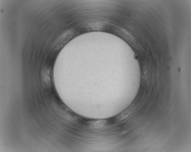 X0000069390122200606021641