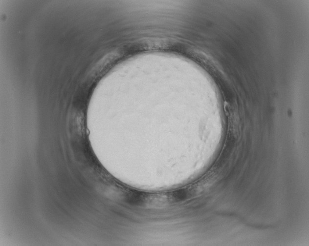 X0000069390123200606021641