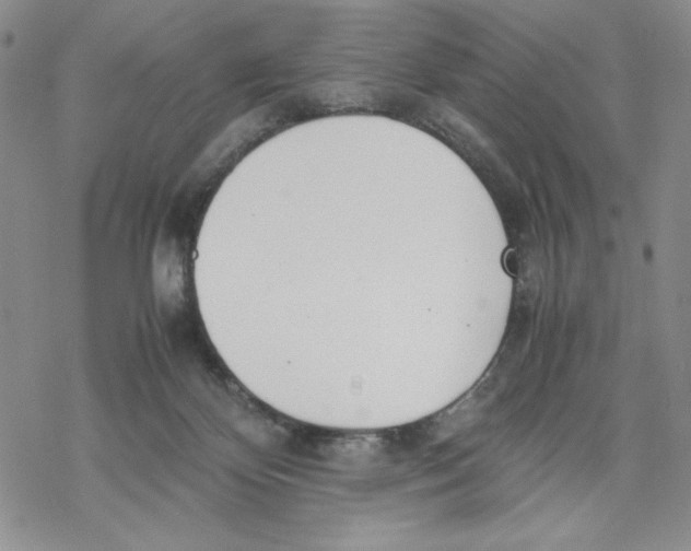 X0000069390124200606021641