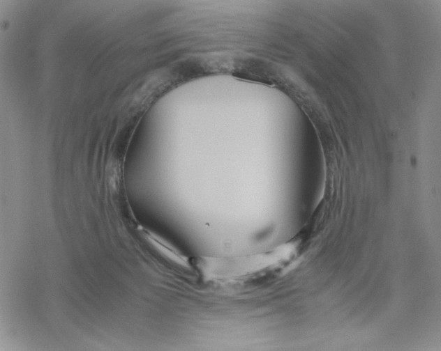 X0000069390125200606021641