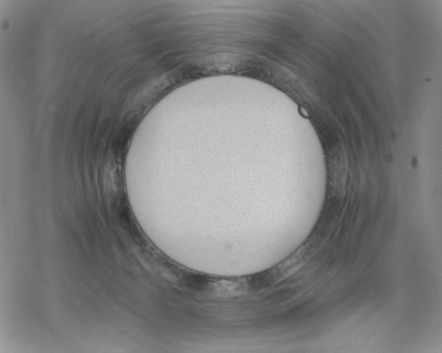 X0000069390126200606021641