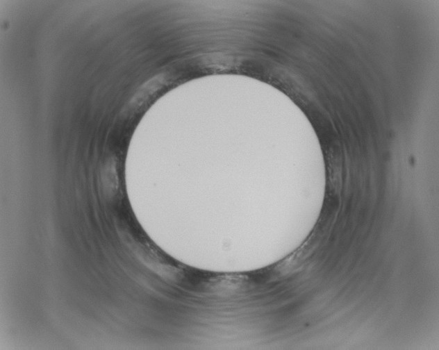 X0000069390128200606021641