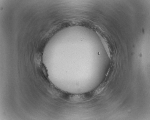 X0000069390129200606021641