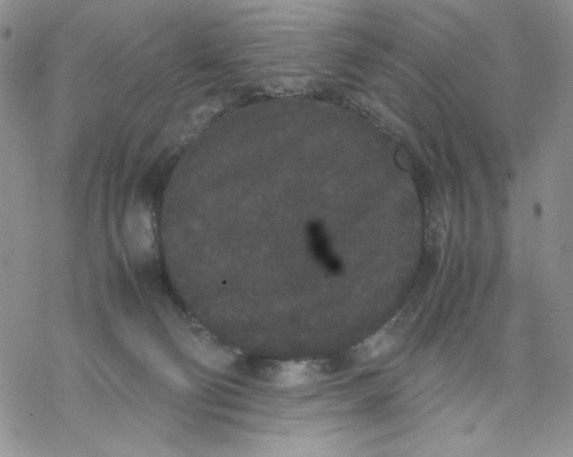 X0000069390130200606021641