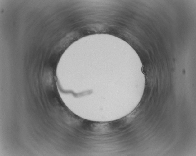 X0000069390132200606021641