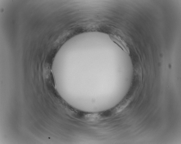 X0000069390133200606021641