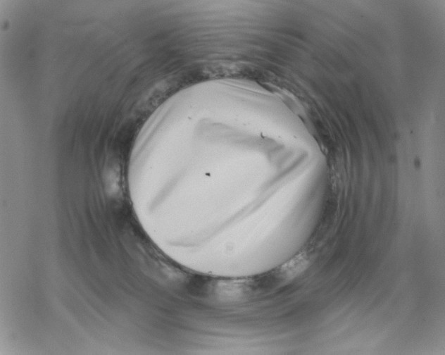 X0000069390134200606021641