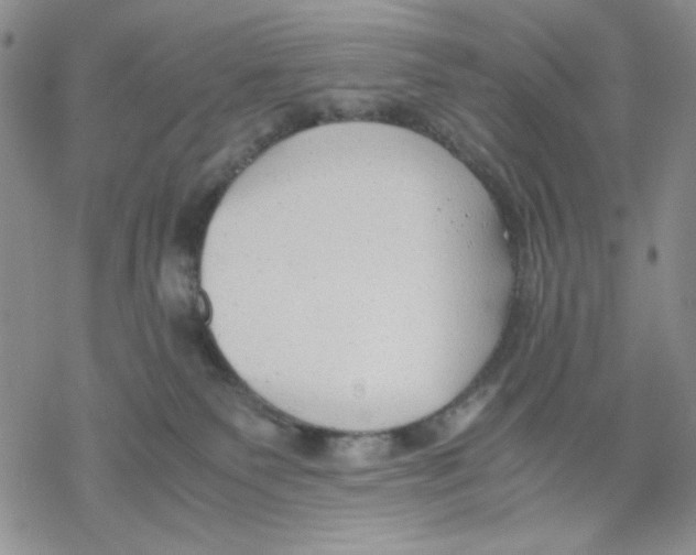 X0000069390135200606021641