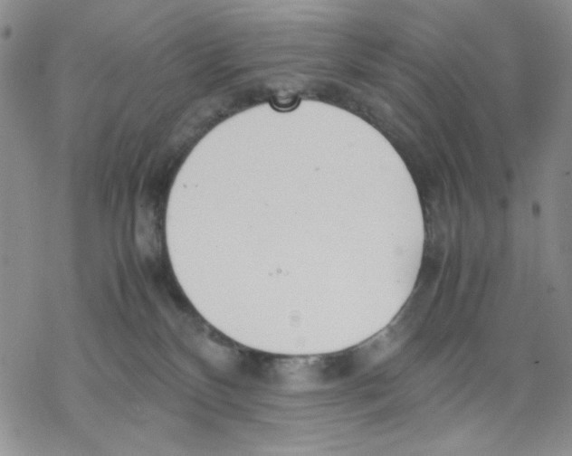 X0000069390136200606021641