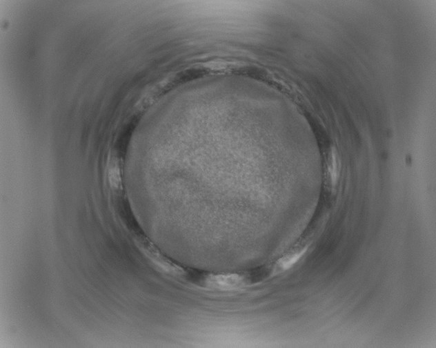 X0000069390137200606021641