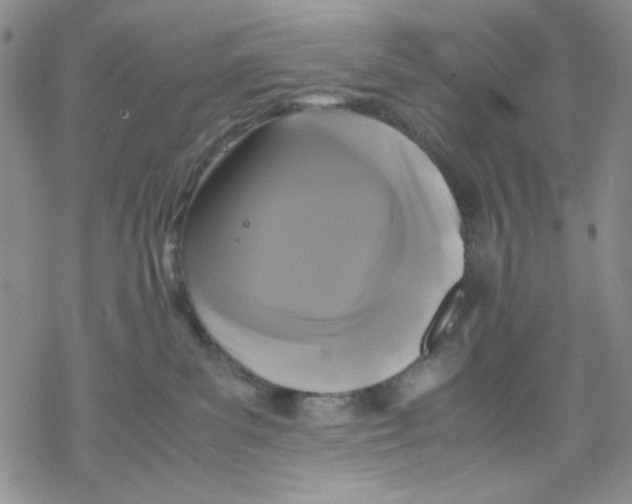 X0000069390139200606021641