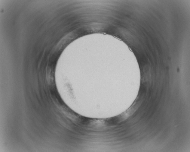 X0000069390140200606021641