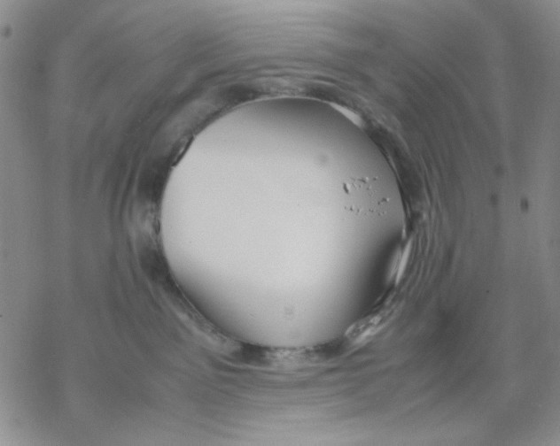 X0000069390141200606021641