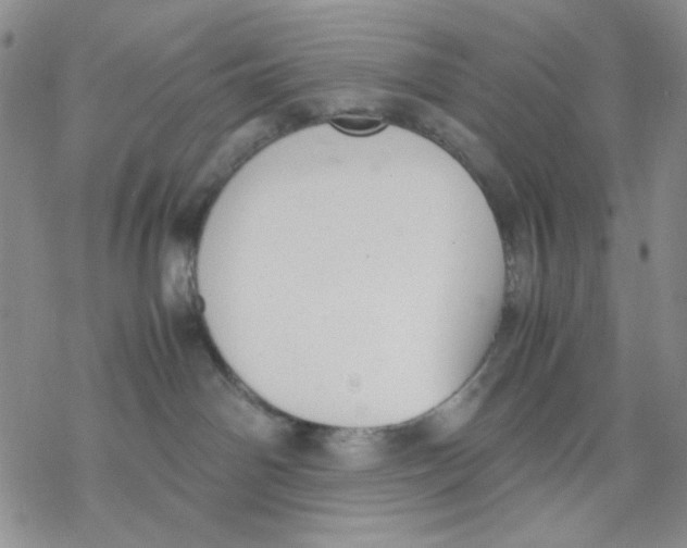 X0000069390142200606021641