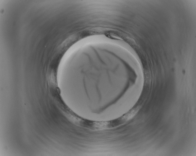 X0000069390143200606021641