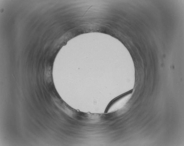 X0000069390144200606021641