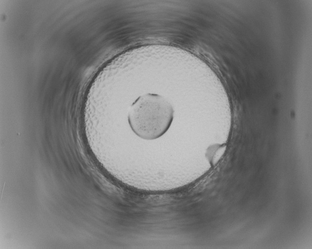 X0000069390145200606021640