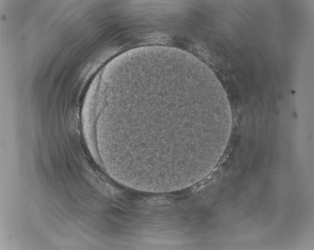 X0000069390146200606021640