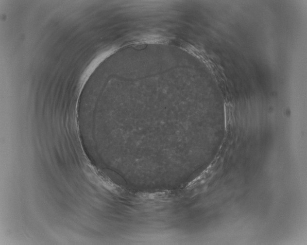 X0000069390147200606021640