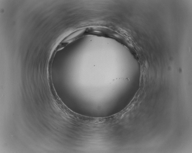 X0000069390148200606021640