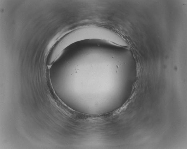 X0000069390150200606021640