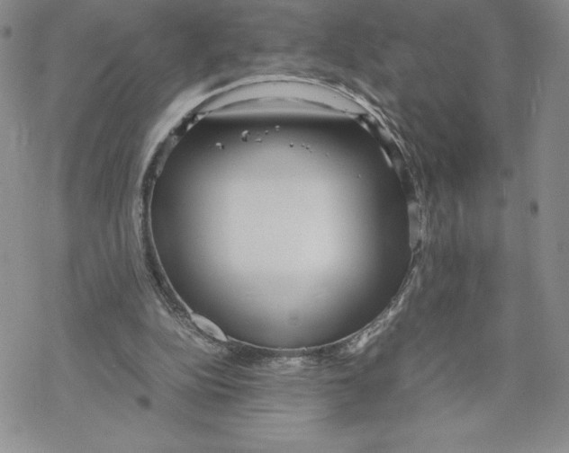 X0000069390152200606021640