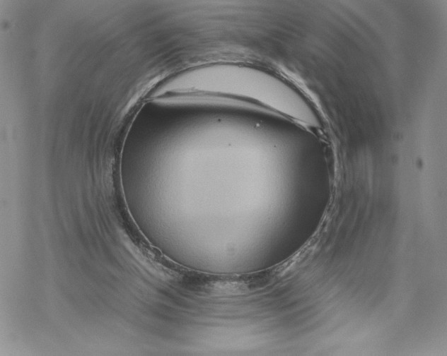 X0000069390154200606021640