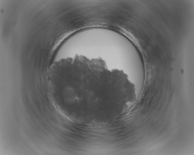 X0000069390155200606021640