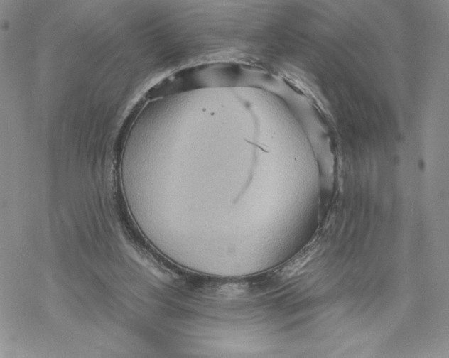 X0000069390156200606021640