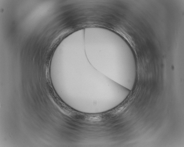 X0000069390157200606021640