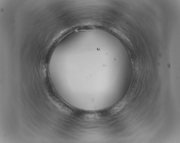 X0000069390160200606021640