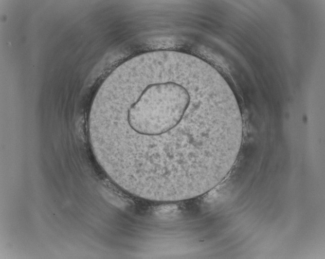 X0000069390162200606021640