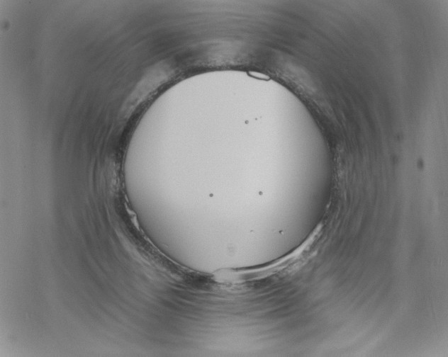 X0000069390164200606021640