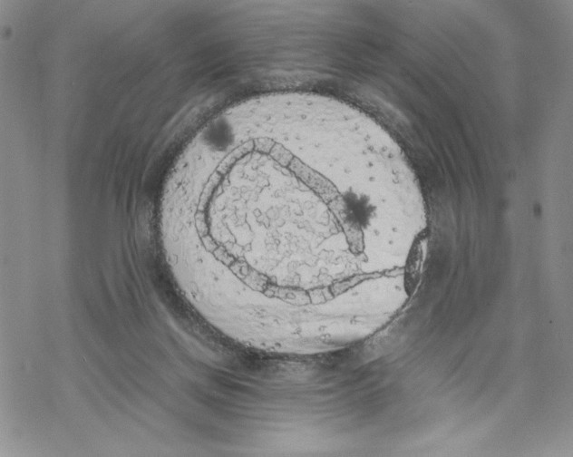 X0000069390166200606021640