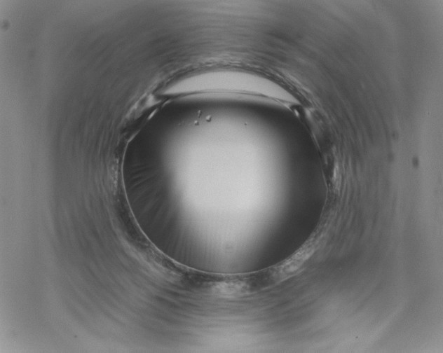 X0000069390168200606021640