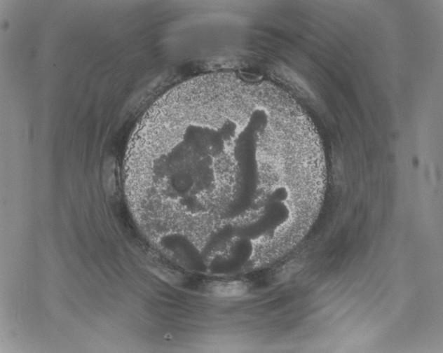 X0000069390169200606021640