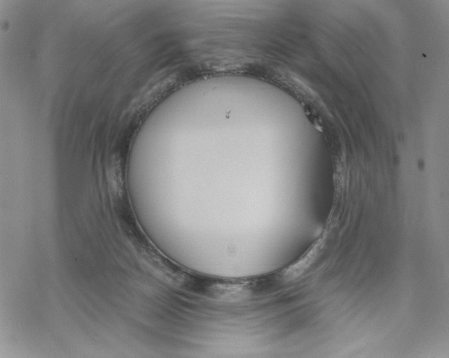 X0000069390170200606021640