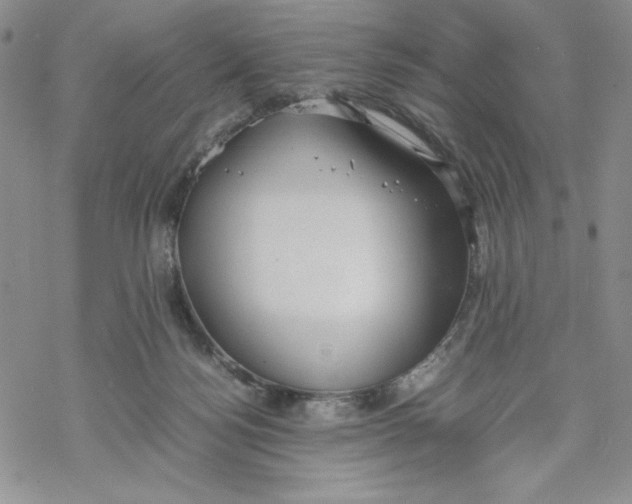 X0000069390172200606021641