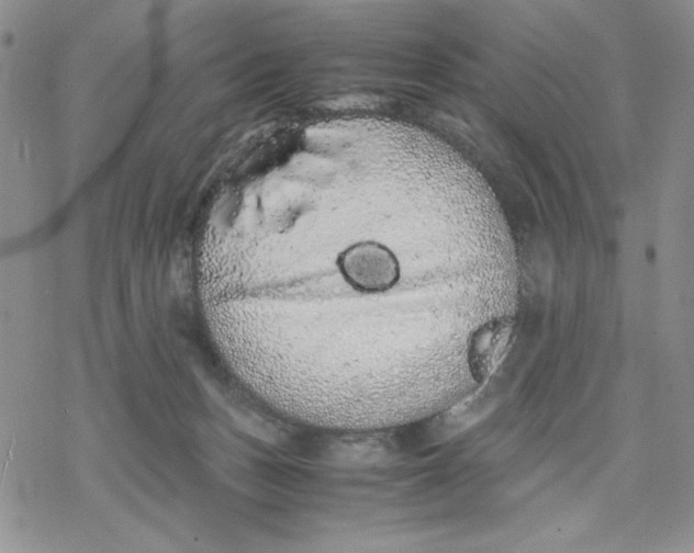 X0000069390175200606021641