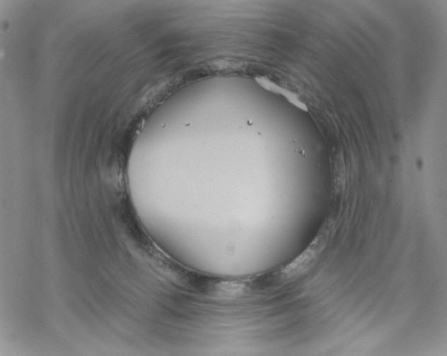 X0000069390176200606021641