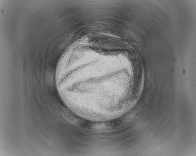 X0000069390177200606021641