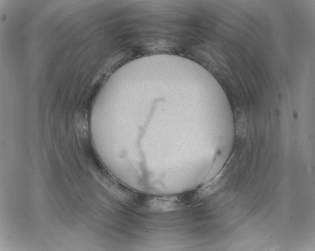 X0000069390179200606021641