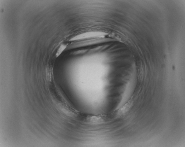 X0000069390180200606021641