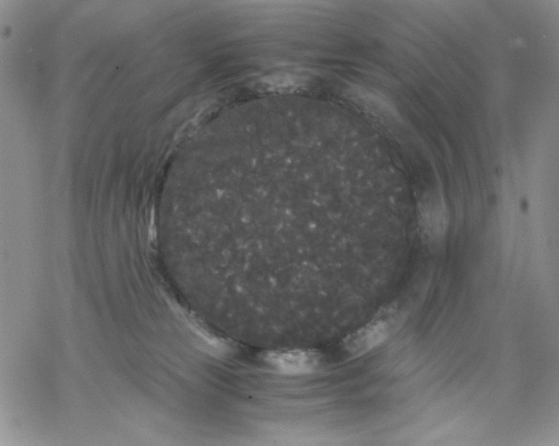 X0000069390181200606021641