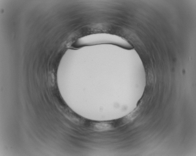 X0000069390183200606021641